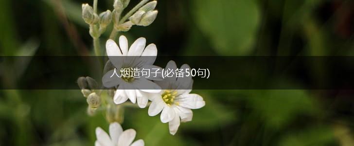 人烟造句子(必备50句),第1张