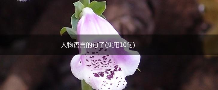 人物语言的句子(实用10句),第1张