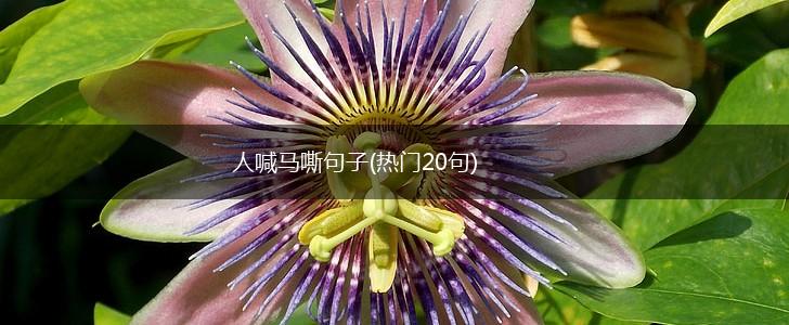人喊马嘶句子(热门20句),第1张