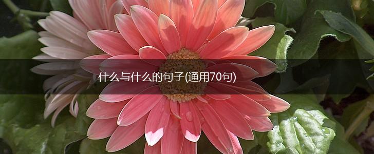 什么与什么的句子(通用70句),第1张