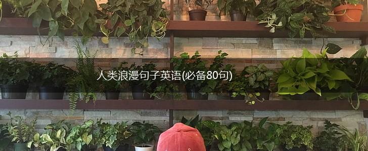 人类浪漫句子英语(必备80句),第1张