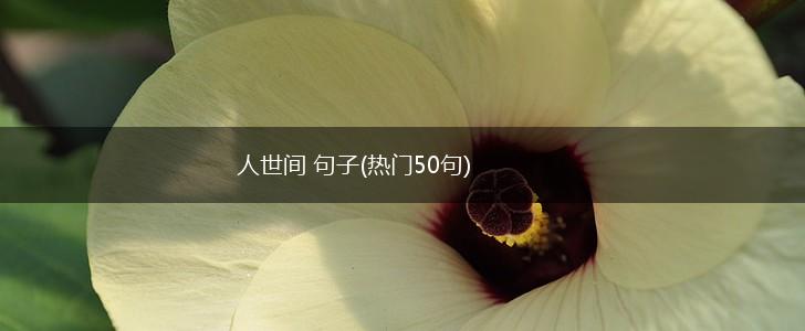 人世间 句子(热门50句),第1张