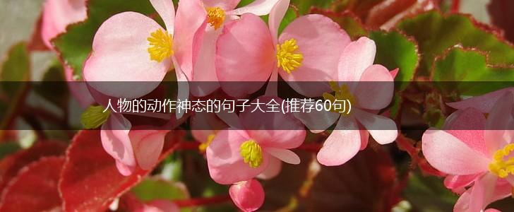 人物的动作神态的句子大全(推荐60句),第1张