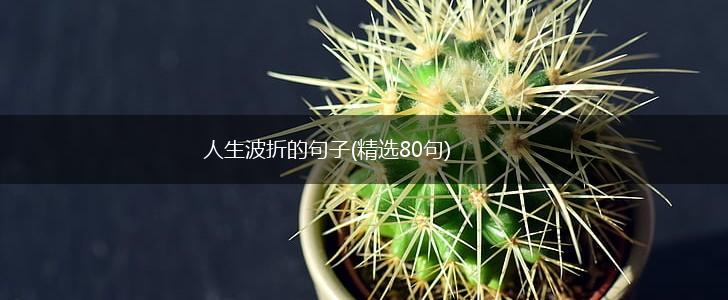 人生波折的句子(精选80句),第1张