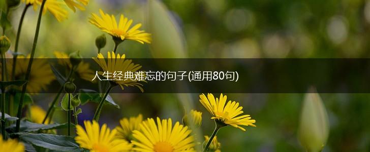 人生经典难忘的句子(通用80句),第1张