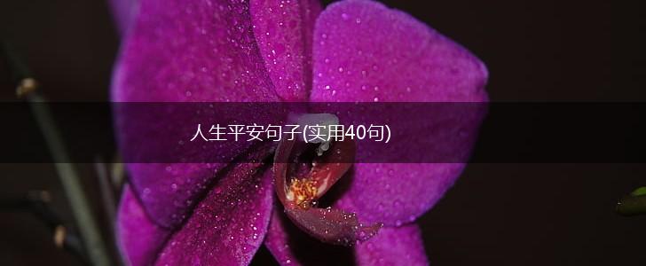 人生平安句子(实用40句),第1张