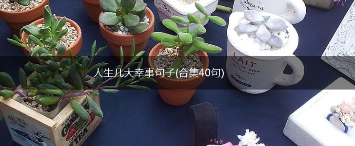 人生几大幸事句子(合集40句),第1张