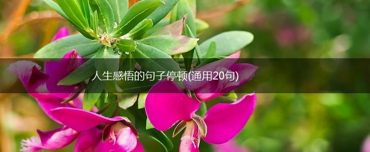 人生感悟的句子停顿(通用20句),第1张