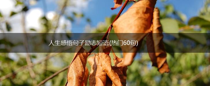 人生感悟句子励志短语(热门60句),第1张