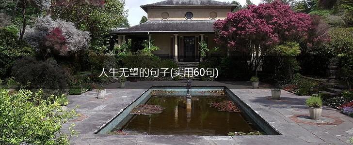 人生无望的句子(实用60句),第1张