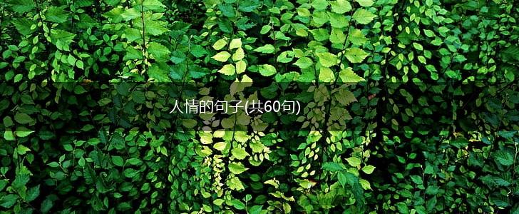 人情的句子(共60句),第1张