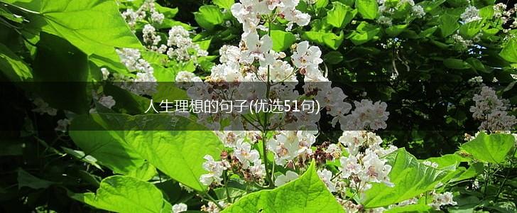 人生理想的句子(优选51句),第1张