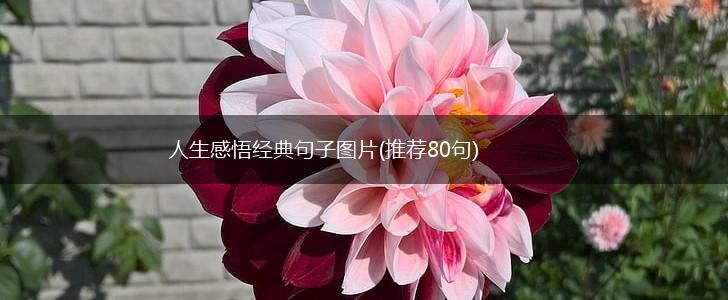 人生感悟经典句子图片(推荐80句),第1张