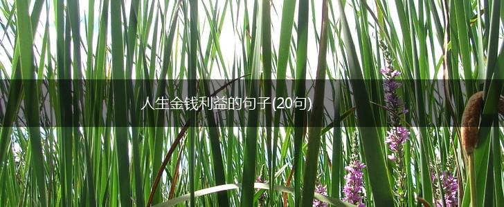人生金钱利益的句子(20句),第1张