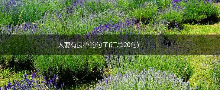 人要有良心的句子(汇总20句),第1张