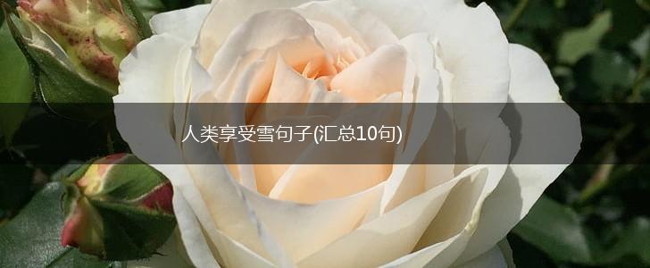 人类享受雪句子(汇总10句),第1张