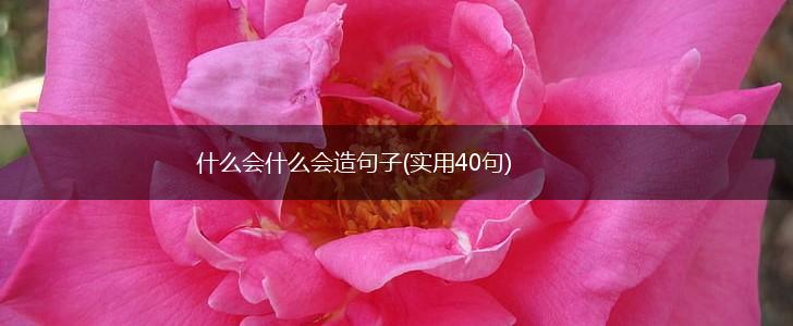 什么会什么会造句子(实用40句),第1张