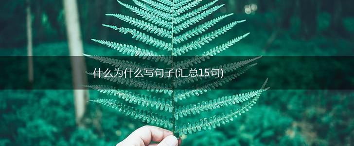 什么为什么写句子(汇总15句),第1张