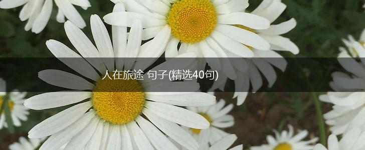 人在旅途 句子(精选40句),第1张