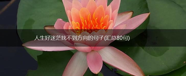人生好迷茫找不到方向的句子(汇总80句),第1张