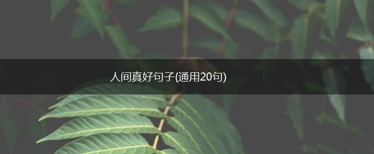 人间真好句子(通用20句),第1张