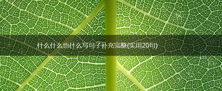 什么什么也什么写句子补充完整(实用20句),第1张