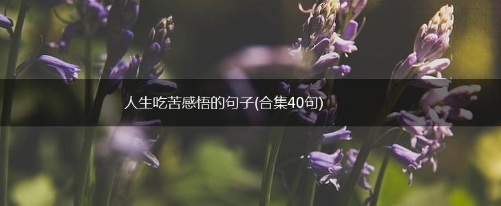 人生吃苦感悟的句子(合集40句),第1张