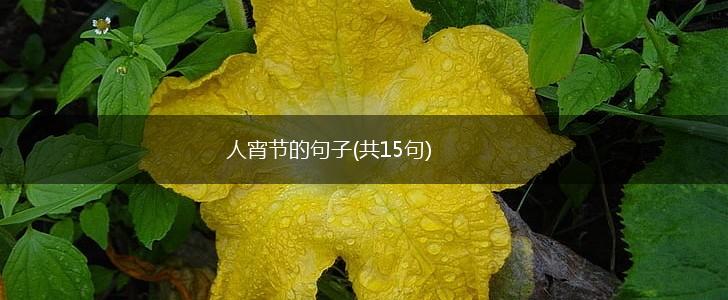 人宵节的句子(共15句),第1张