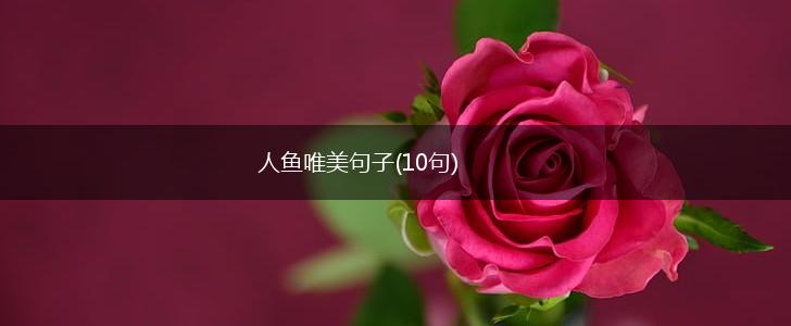 人鱼唯美句子(10句),第1张