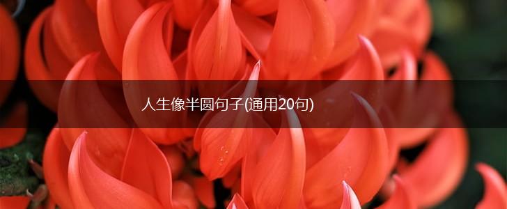 人生像半圆句子(通用20句),第1张