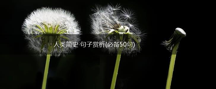 人类简史 句子赏析(必备50句),第1张