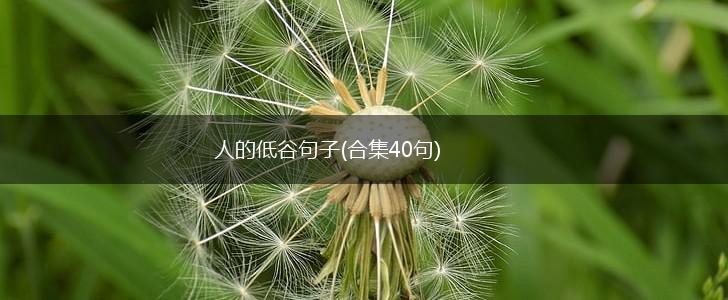 人的低谷句子(合集40句),第1张