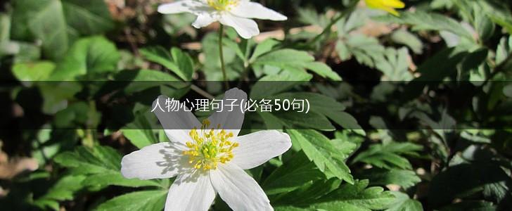 人物心理句子(必备50句),第1张