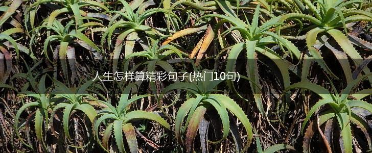 人生怎样算精彩句子(热门10句),第1张