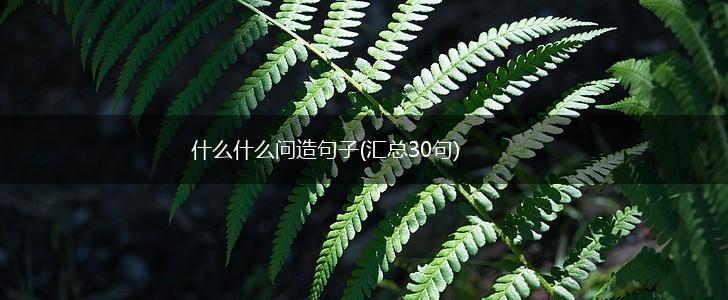 什么什么问造句子(汇总30句),第1张