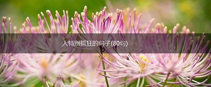 人特别抓狂的句子(80句),第1张
