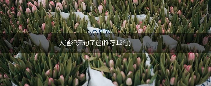 人道纪元句子迷(推荐12句),第1张