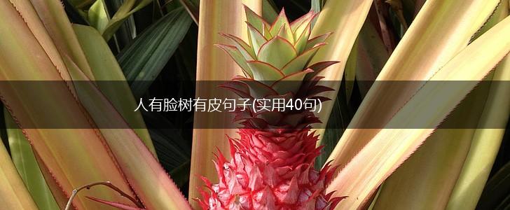 人有脸树有皮句子(实用40句),第1张
