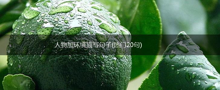 人物加环境描写句子(热门20句),第1张
