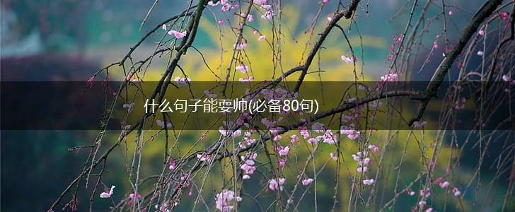 什么句子能耍帅(必备80句),第1张