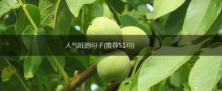 人气旺的句子(推荐51句),第1张