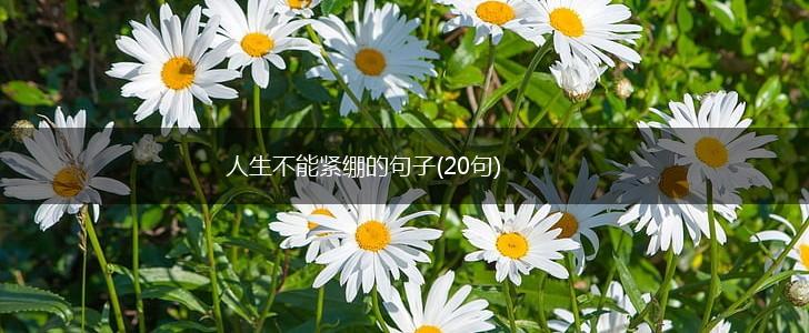 人生不能紧绷的句子(20句),第1张