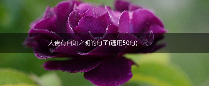 人贵有自知之明的句子(通用50句),第1张