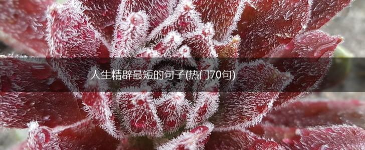 人生精辟最短的句子(热门70句),第1张