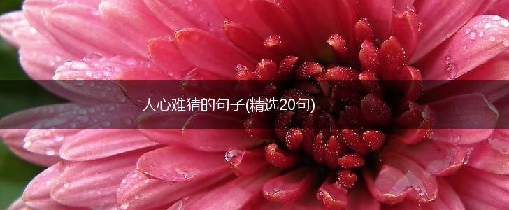 人心难猜的句子(精选20句),第1张