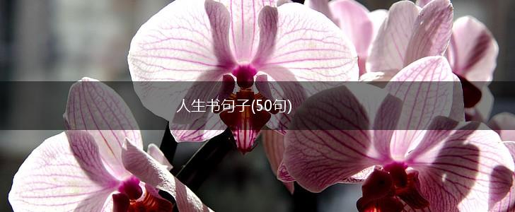 人生书句子(50句),第1张