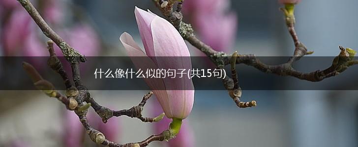 什么像什么似的句子(共15句),第1张