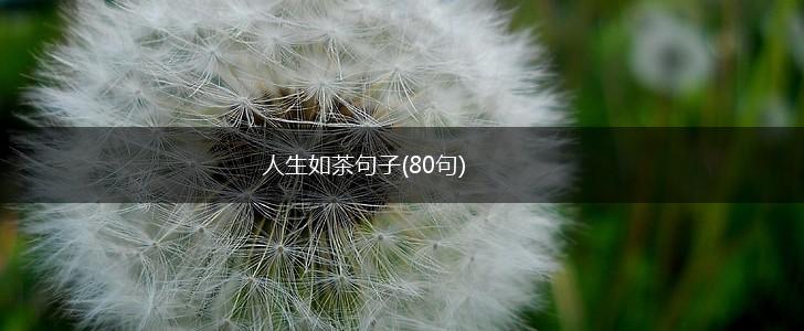 人生如茶句子(80句),第1张