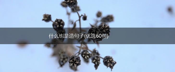 什么也是造句子(优选60句),第1张