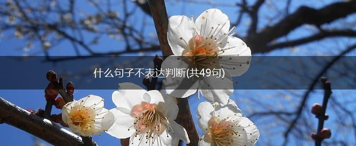 什么句子不表达判断(共49句),第1张